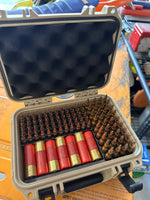 Large ammunition storage case